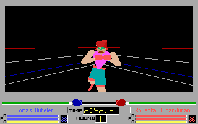 4D Sports Boxing (1991)